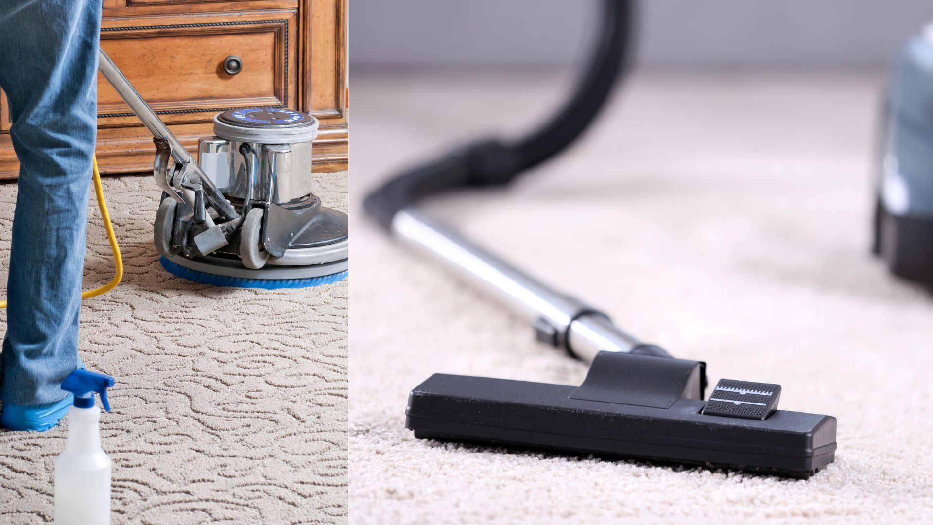 Carpet Cleaners in Rockingham