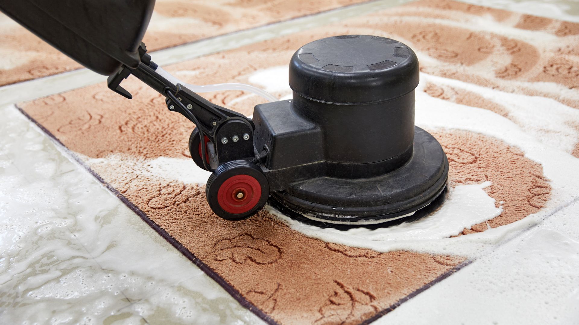 Residential Carpet Cleaning Guide in Rockingham