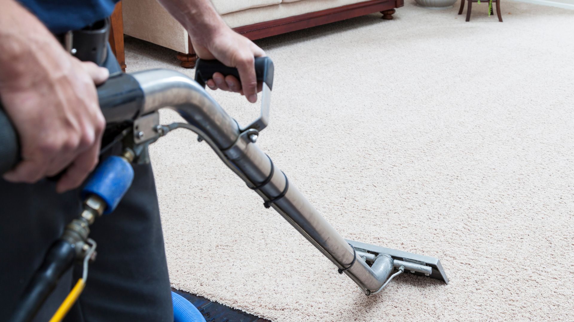 Residential Carpet Cleaning Guide in Rockingham